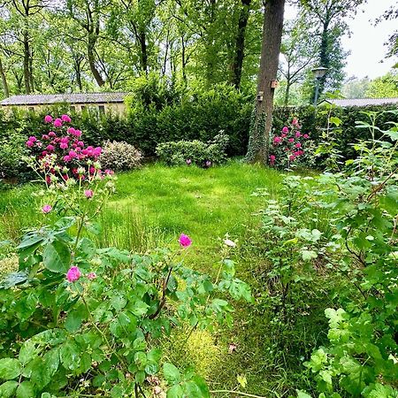 Vakantie Veluwe Wageningen Kültér fotó