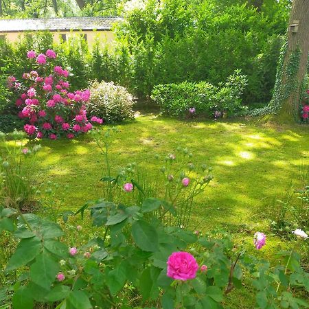 Vakantie Veluwe Wageningen Kültér fotó