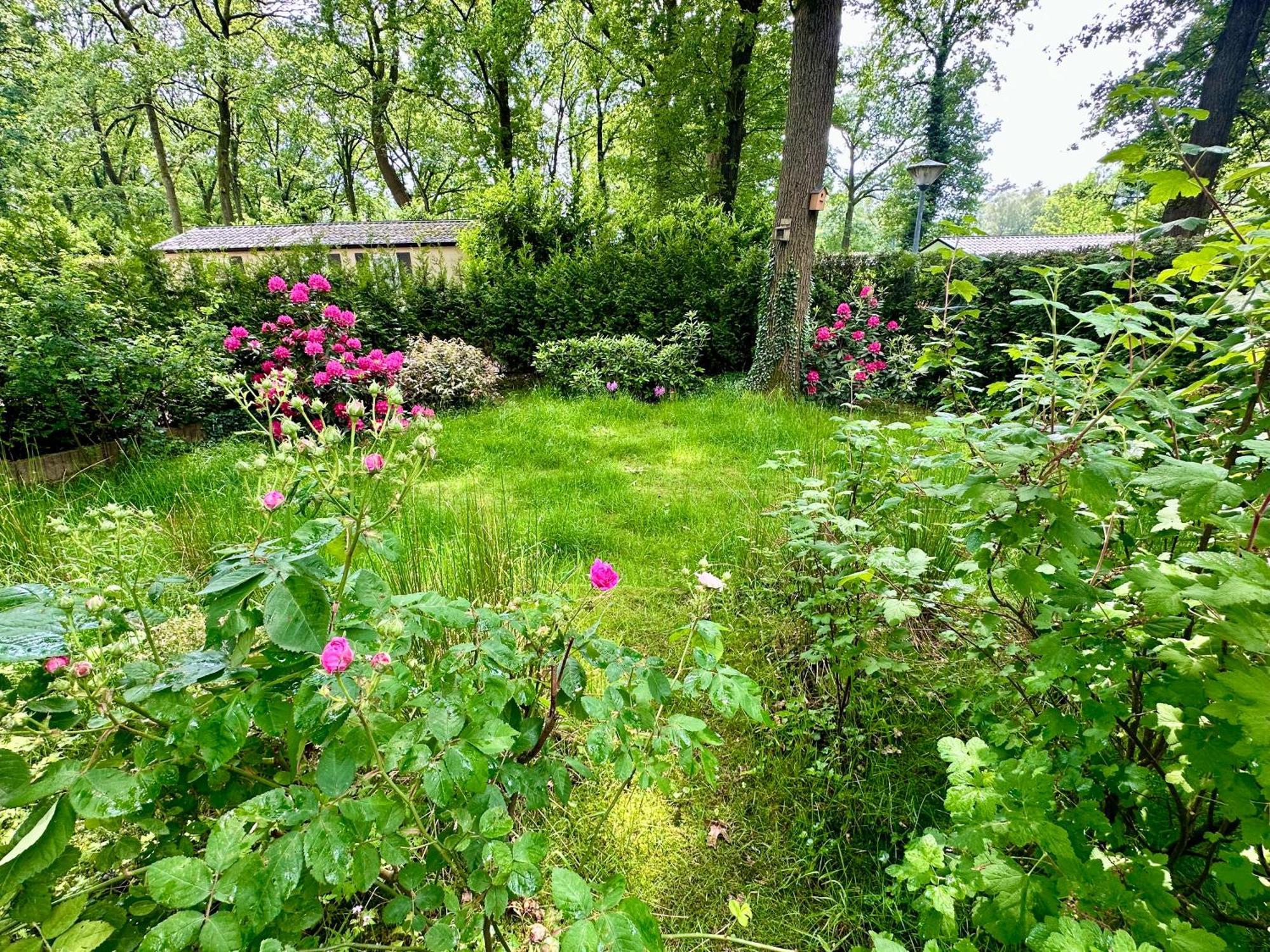 Vakantie Veluwe Wageningen Kültér fotó