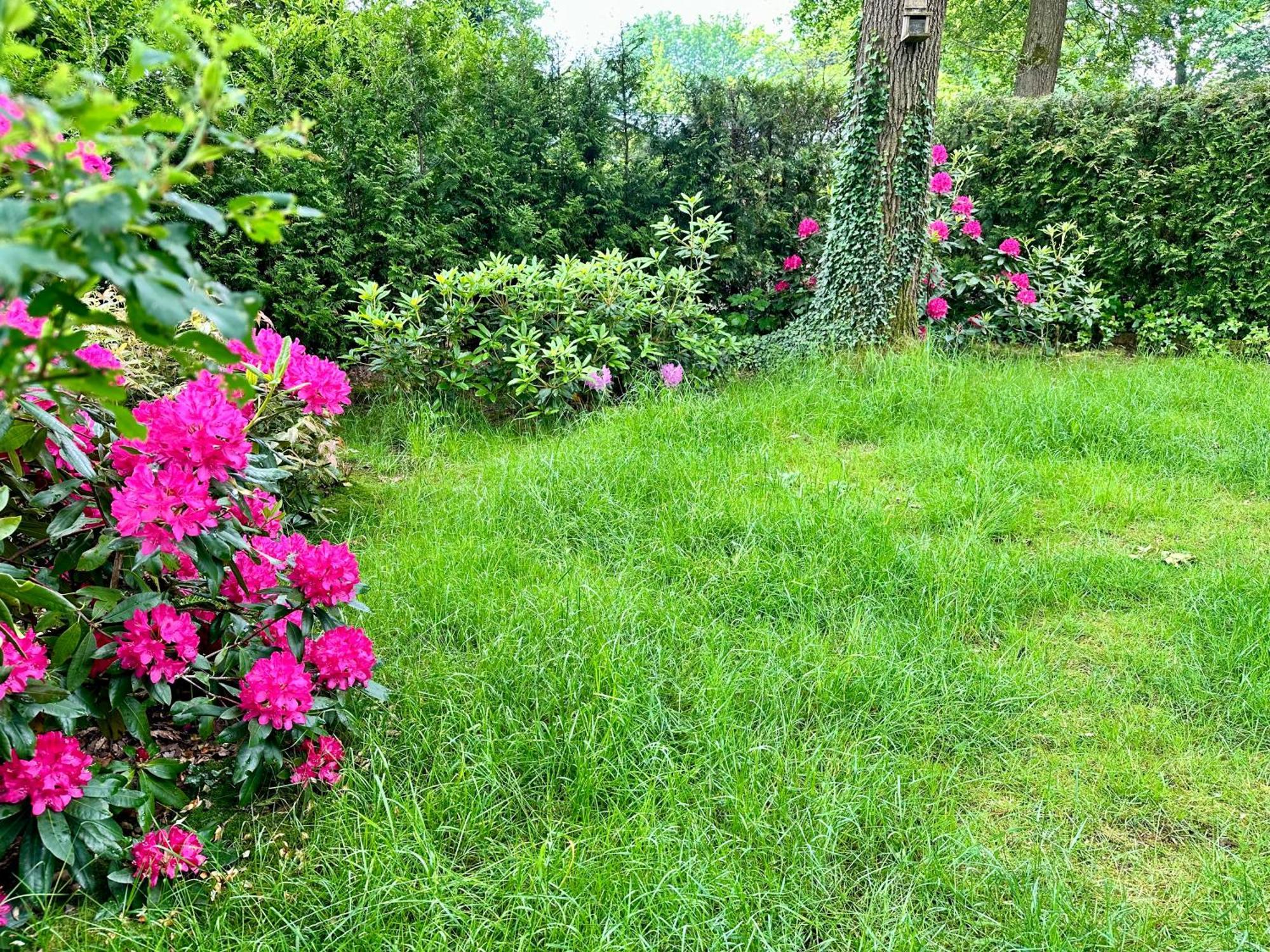 Vakantie Veluwe Wageningen Kültér fotó