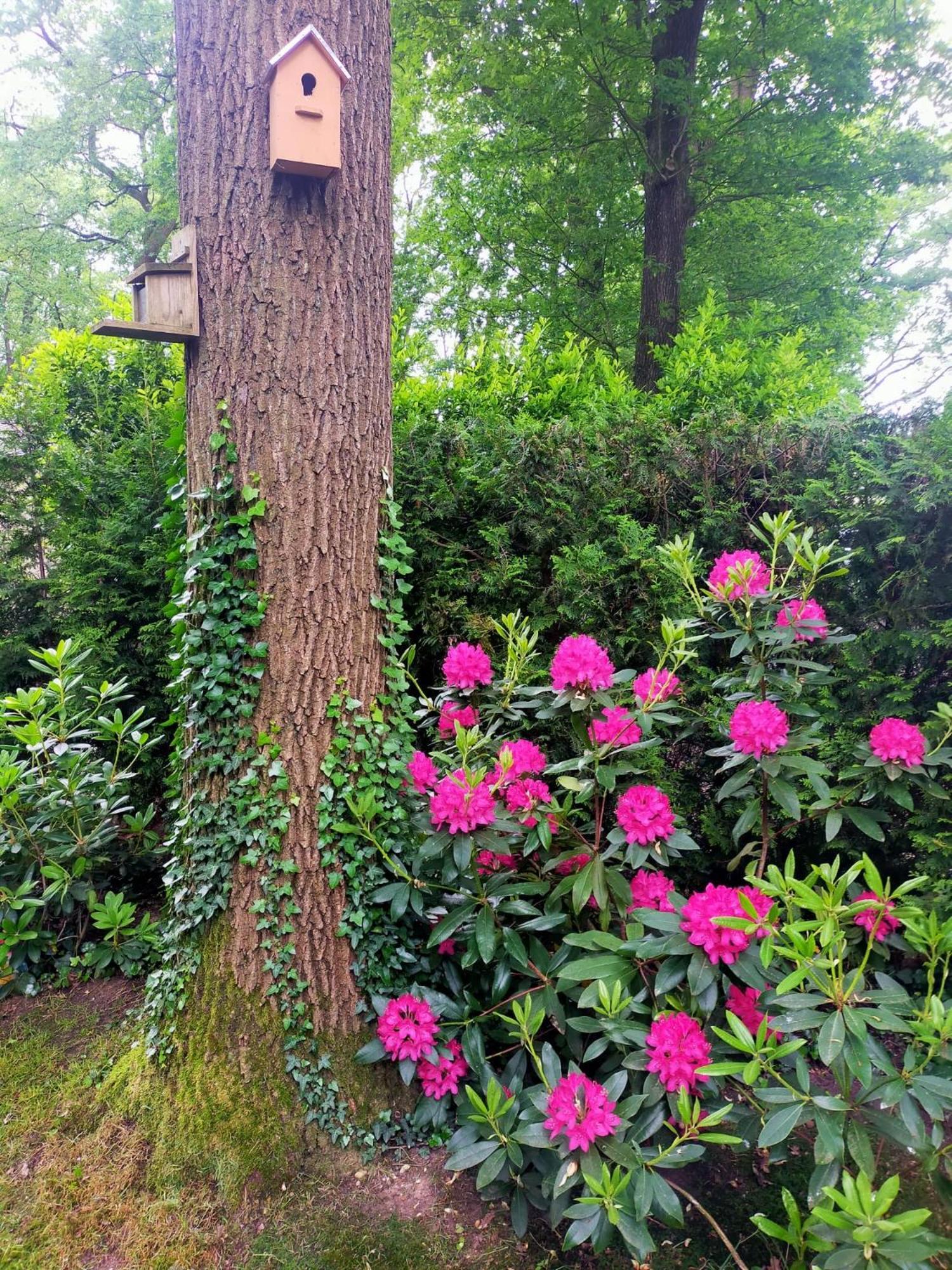 Vakantie Veluwe Wageningen Kültér fotó